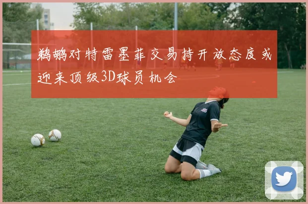 鹈鹕对特雷墨菲交易持开放态度或迎来顶级3D球员机会