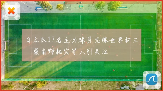 日本队17名主力球员无缘世界杯三笘薰南野拓实等人引关注
