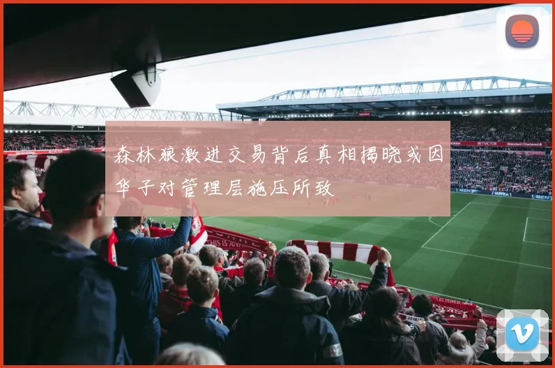 森林狼激进交易背后真相揭晓或因华子对管理层施压所致