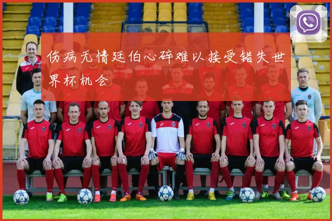 伤病无情廷伯心碎难以接受错失世界杯机会