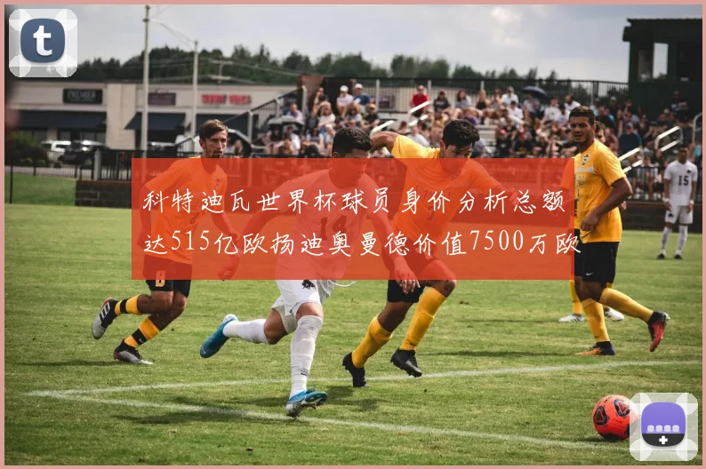 科特迪瓦世界杯球员身价分析总额达515亿欧扬迪奥曼德价值7500万欧